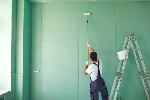 Best Mold Damage Restoration  in Hazel Crest, IL