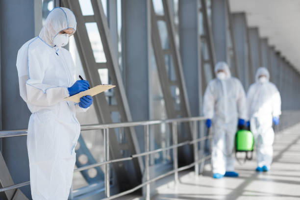 Best Mold-Related Health Consultation  in Hazel Crest, IL