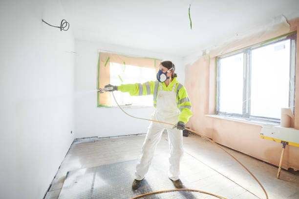 Trusted Hazel Crest, IL Mold Removal Experts
