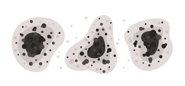 Best Residential Mold Inspection & Testing  in Hazel Crest, IL