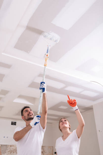 Best Comprehensive Air Testing for Mold Contaminants  in Hazel Crest, IL