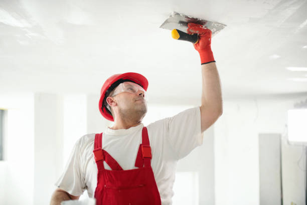 Best Commercial Mold Inspection  in Hazel Crest, IL