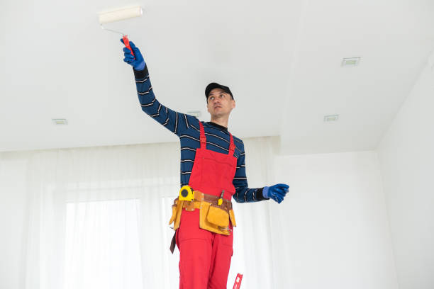 Best Mold Documentation for Insurance Claims  in Hazel Crest, IL