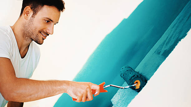  Hazel Crest, IL Mold Removal Pros
